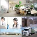 Relógio Masculino LIGE Foxbox Marca Luxo À Prova D'água Quartzo