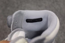 Dior x Air Jordan 1 High